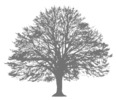 The Okorie Agency Logo